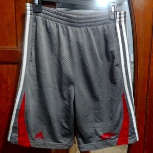 Adidas Arkansas Razorback Shorts L